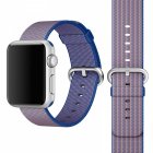 Coteetci W11 Nylon Band Purple for Apple Watch 42/44/45mm (WH5215-PR)
