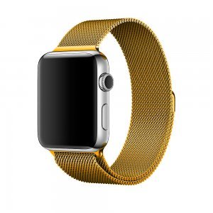 COTEetCI W6 Magnet Band for Apple Watch 42/44/45/49mm Gold (WH5203-GD)